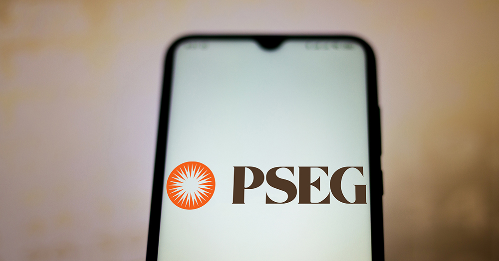 pseg delivery and system charges